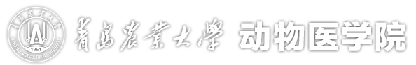 云顶集团yd1233