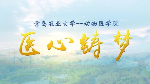 云顶集团yd1233宣传片