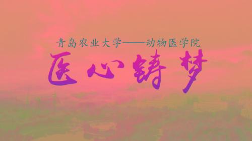 医心铸梦--2018年云顶集团yd1233教学科研宣传片